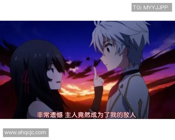 足球场上的爱情传说：球星情侣携手共赴人生巅峰的动人故事